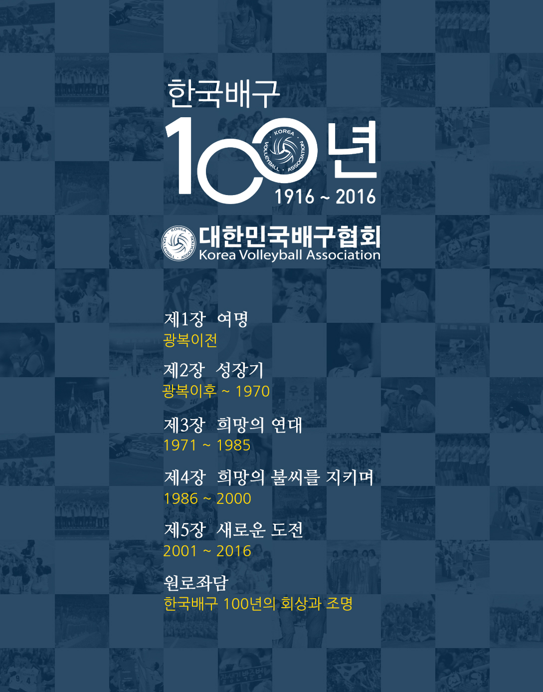 한국배구 100년 1916~2016 ebook